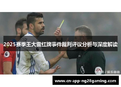 2025赛季王大雷红牌事件裁判评议分析与深度解读