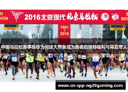 中国马拉松赛事推荐为何送大带鱼成为跑者的独特福利与背后意义