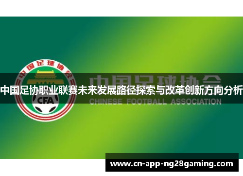 中国足协职业联赛未来发展路径探索与改革创新方向分析