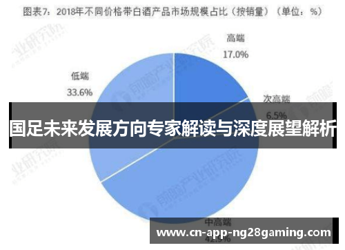 国足未来发展方向专家解读与深度展望解析