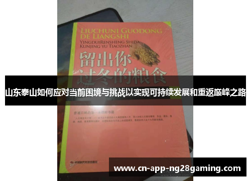 山东泰山如何应对当前困境与挑战以实现可持续发展和重返巅峰之路