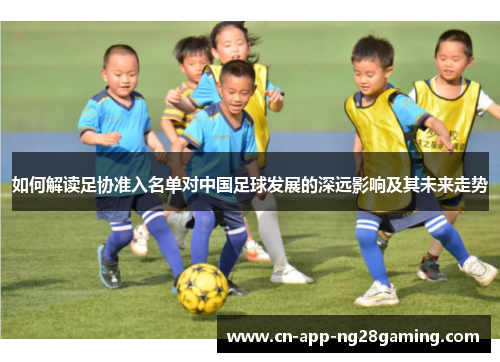 如何解读足协准入名单对中国足球发展的深远影响及其未来走势