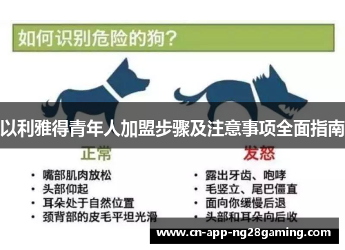 以利雅得青年人加盟步骤及注意事项全面指南