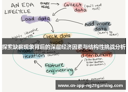 探索缺薪现象背后的深层经济因素与结构性挑战分析