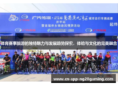 体育赛事旅游的独特魅力与发展趋势探索，体验与文化的完美融合
