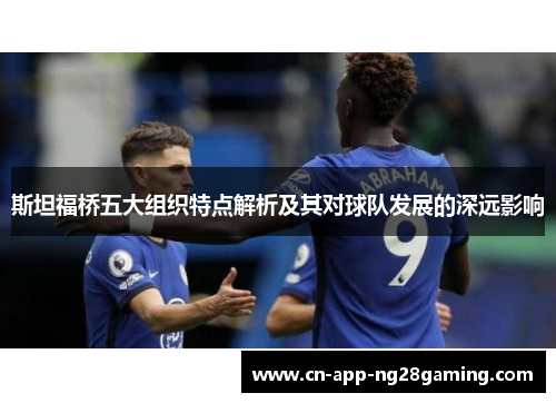 斯坦福桥五大组织特点解析及其对球队发展的深远影响