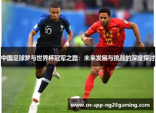 中国足球梦与世界杯冠军之路：未来发展与挑战的深度探讨