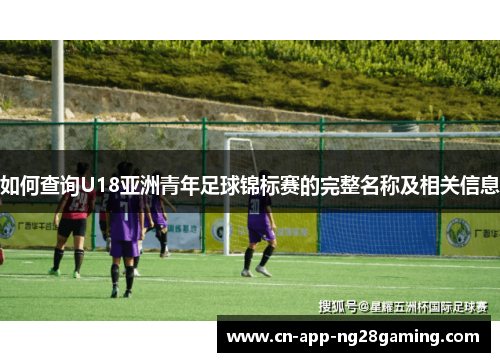 如何查询U18亚洲青年足球锦标赛的完整名称及相关信息