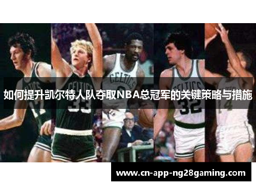 如何提升凯尔特人队夺取NBA总冠军的关键策略与措施