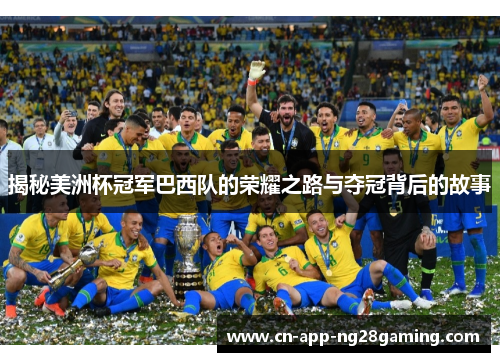 揭秘美洲杯冠军巴西队的荣耀之路与夺冠背后的故事