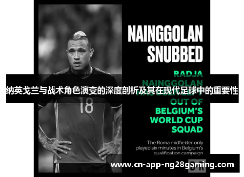 纳英戈兰与战术角色演变的深度剖析及其在现代足球中的重要性